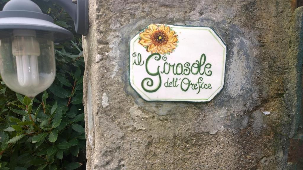 Casa vacanze Sunflower Cosy - Il Girasole